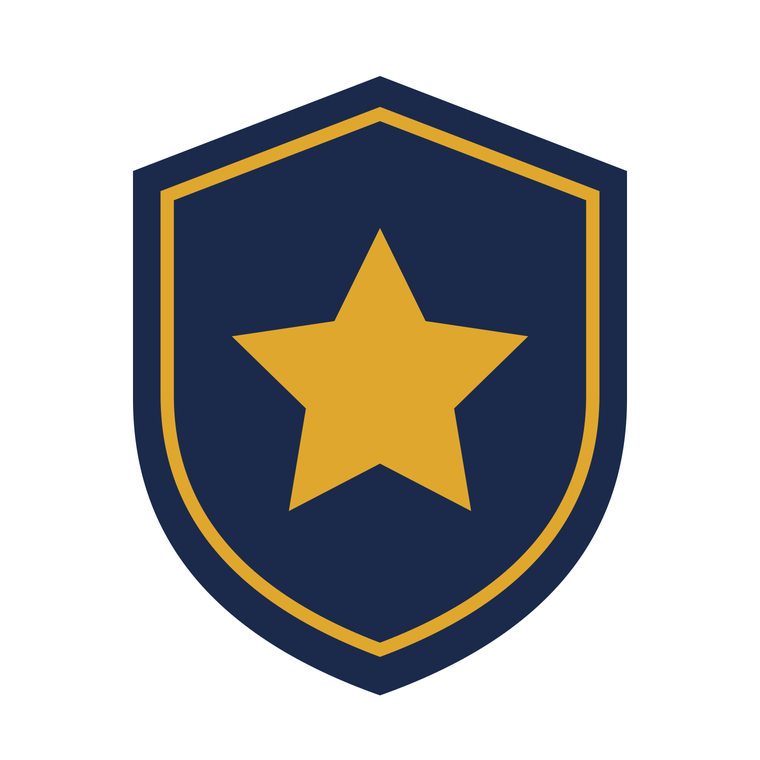 star shield crest logo artwork